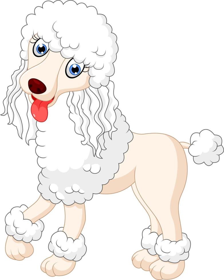 lindo cachorro poodle vetor