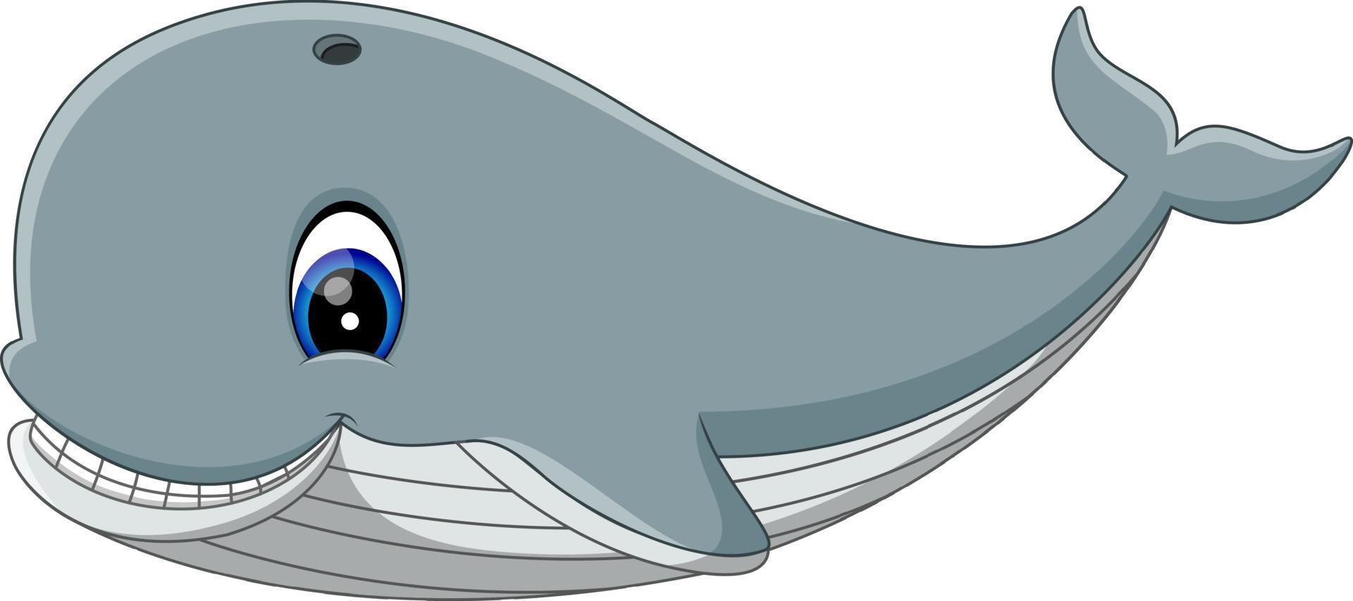 ilustração de baleia fofa de desenho animado vetor