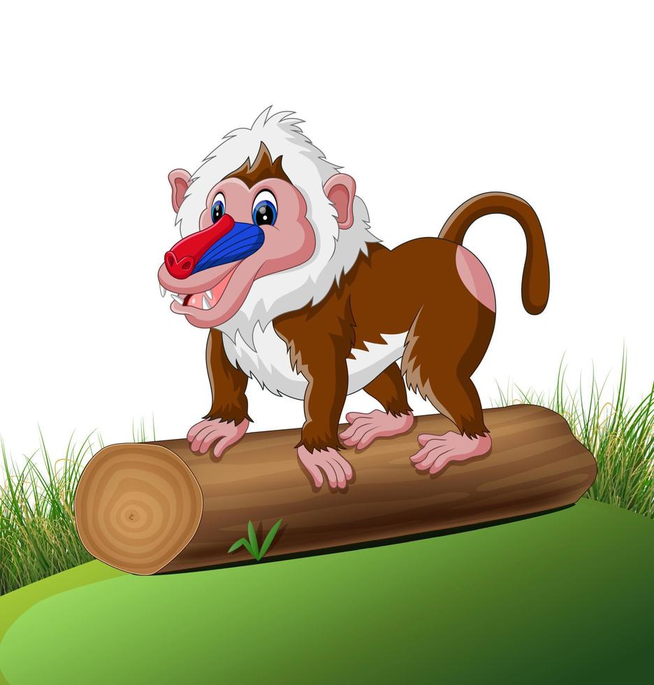 ilustração de desenho animado de babuíno fofo vetor