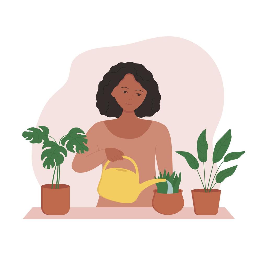 mulher afro-americana regar plantas de interior de um regador. personagem feminina feliz cuidando e cultivando plantas de casa em casa. ilustração vetorial vetor