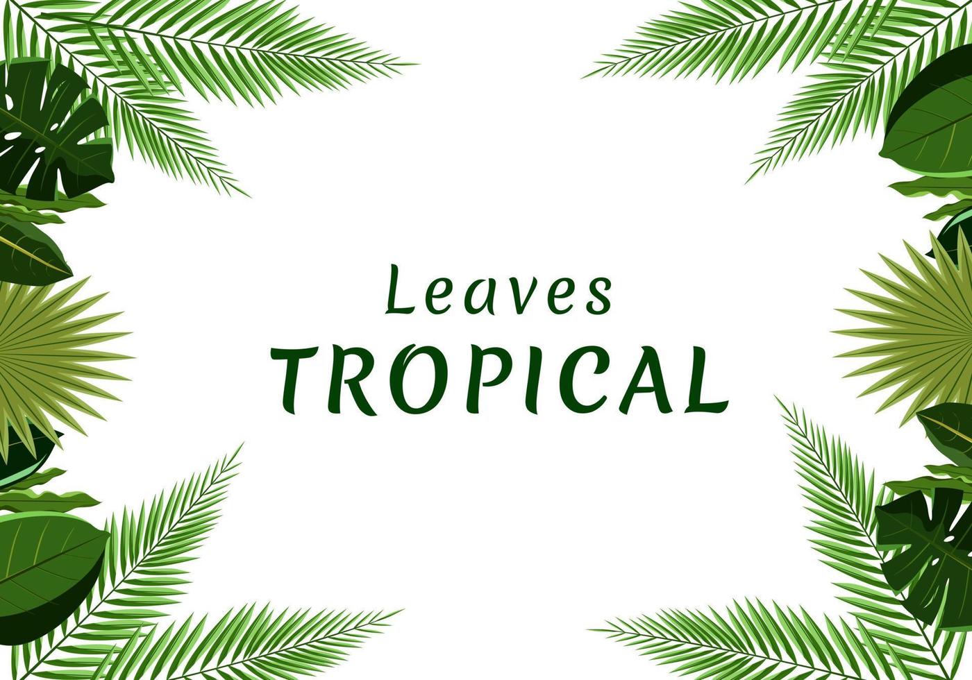 ilustração vetorial deixa verde tropical vetor