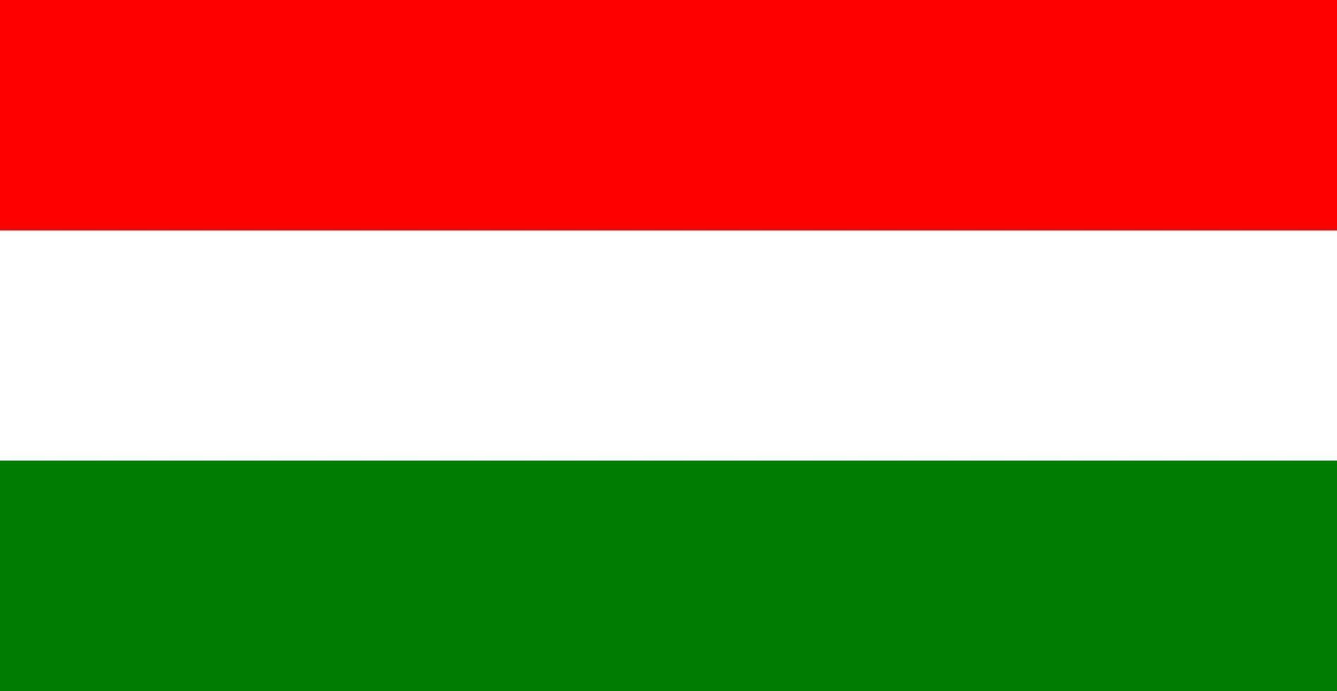 bandeira de ilustração vetorial isolada de cor da Hungria vetor