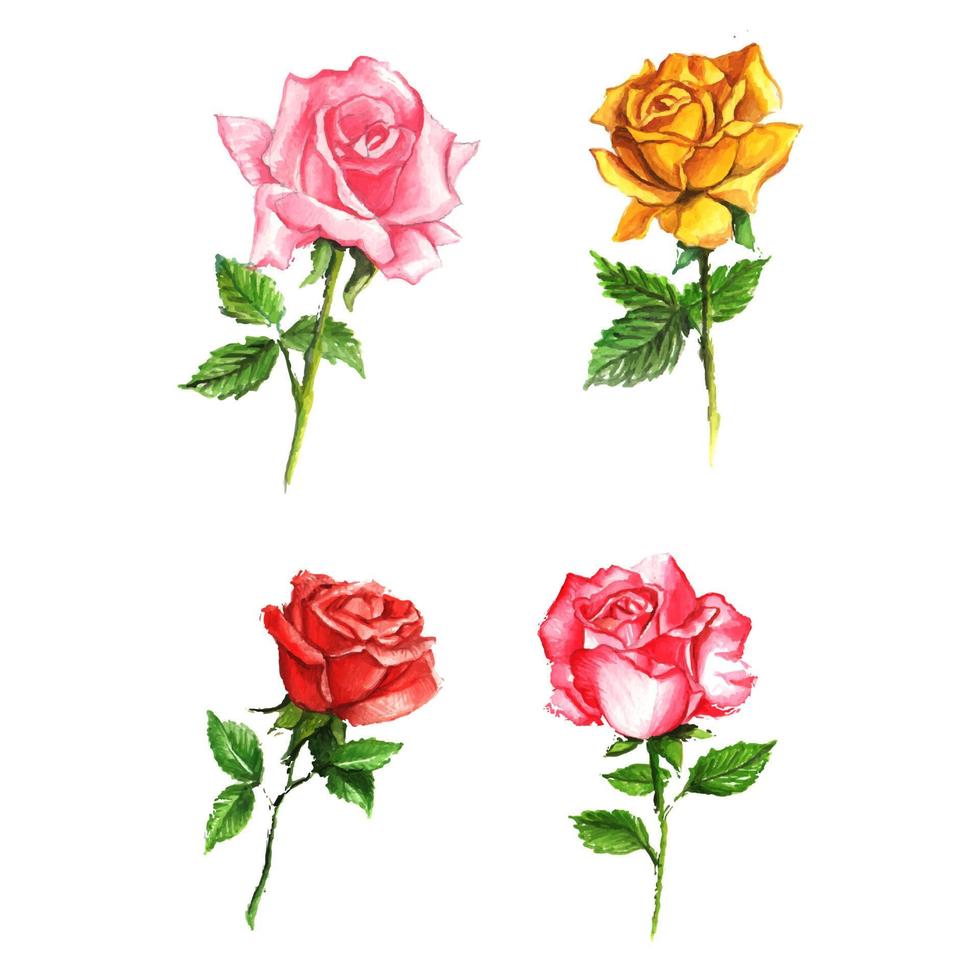 flor de rosas desenhadas à mão de ilustração vetor