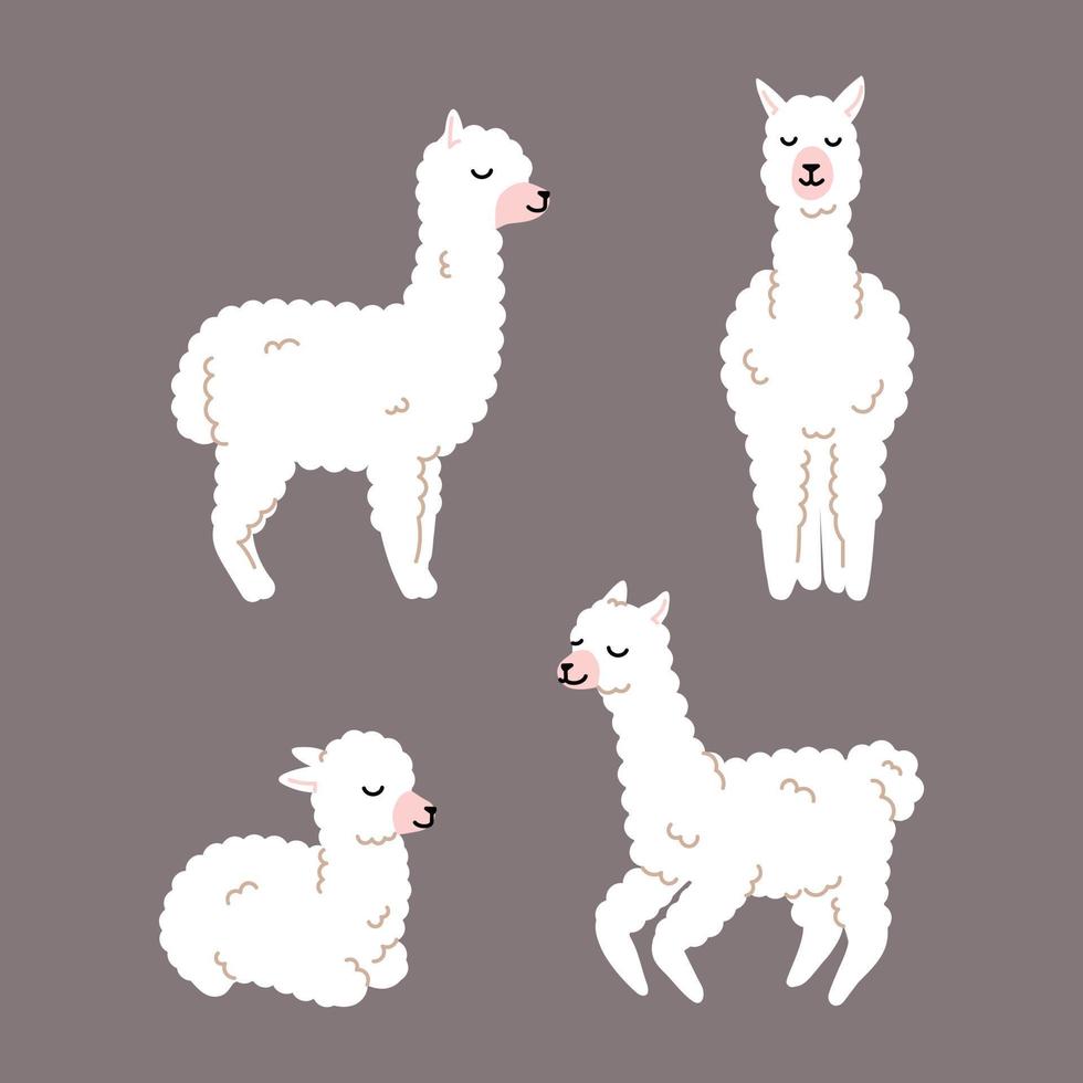 lhama branca, coleção de alpaca, ilustração fofa vetor