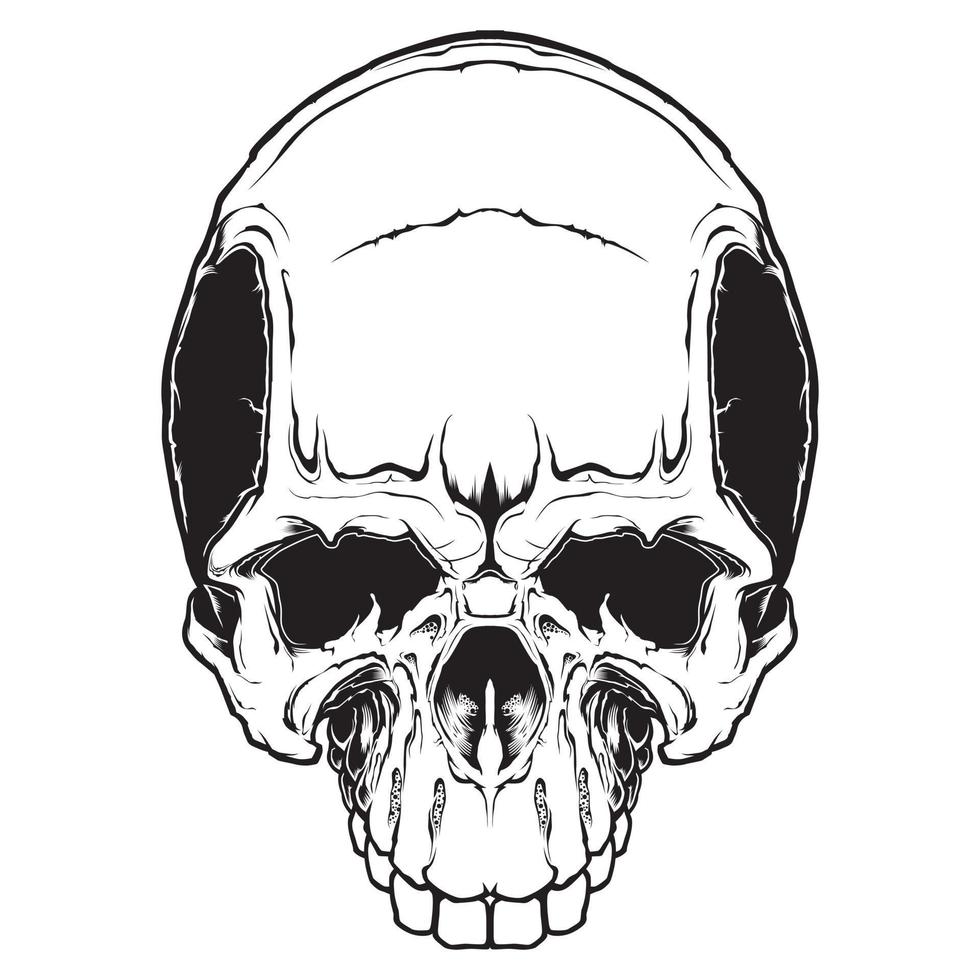 a imagem do crânio. ilustração vetorial. isolado no branco. vetor