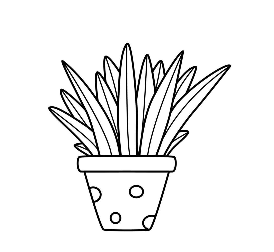 flor de aloe vera em uma panela, ilustração vetorial do contorno de uma planta doodle, paisagismo da sala. vetor