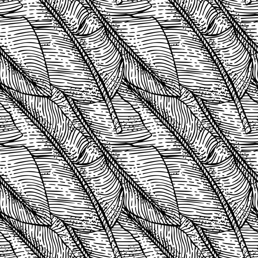 padrão sem emenda de gravura de folha de bananeira. folhas tropicais monocromáticas retrô em estilo desenhado à mão. vetor