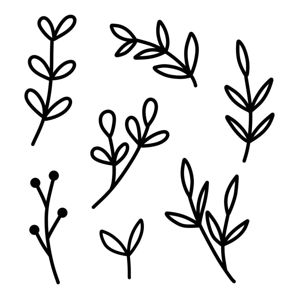conjunto de vetor floral mão desenhada. plantas desenhadas à mão em estilo doodle. ilustração botânica.