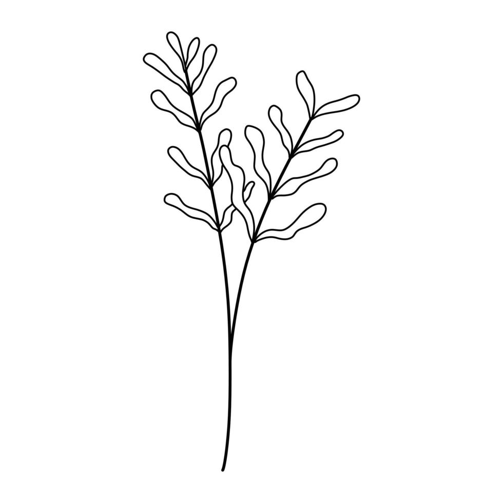 doodle folha desenhada à mão. planta desenhada à mão em estilo doodle. ilustração botânica. vetor