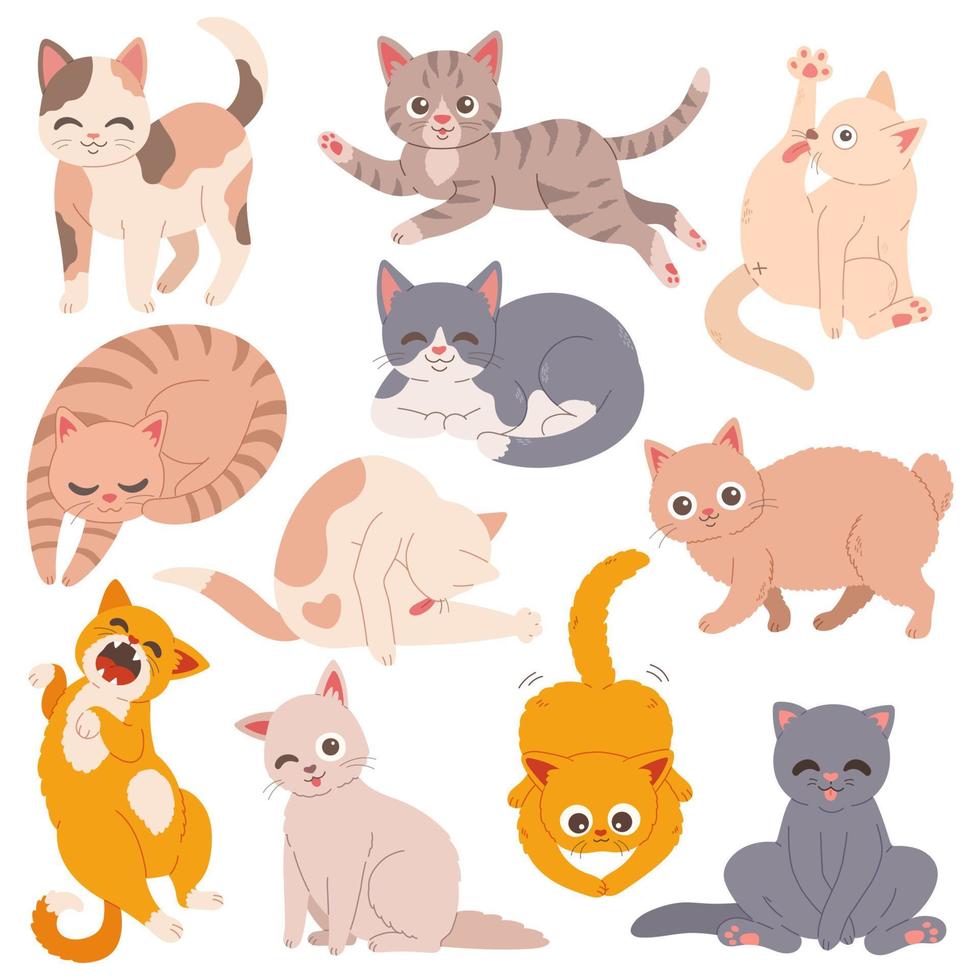 gatos engraçados definir ilustração vetorial simples de design plano vetor