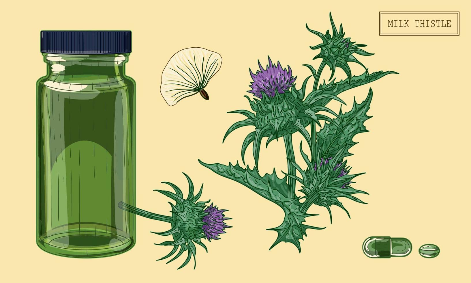 planta de cardo de leite médico e frasco de vidro verde, ilustração desenhada à mão em estilo retrô vetor