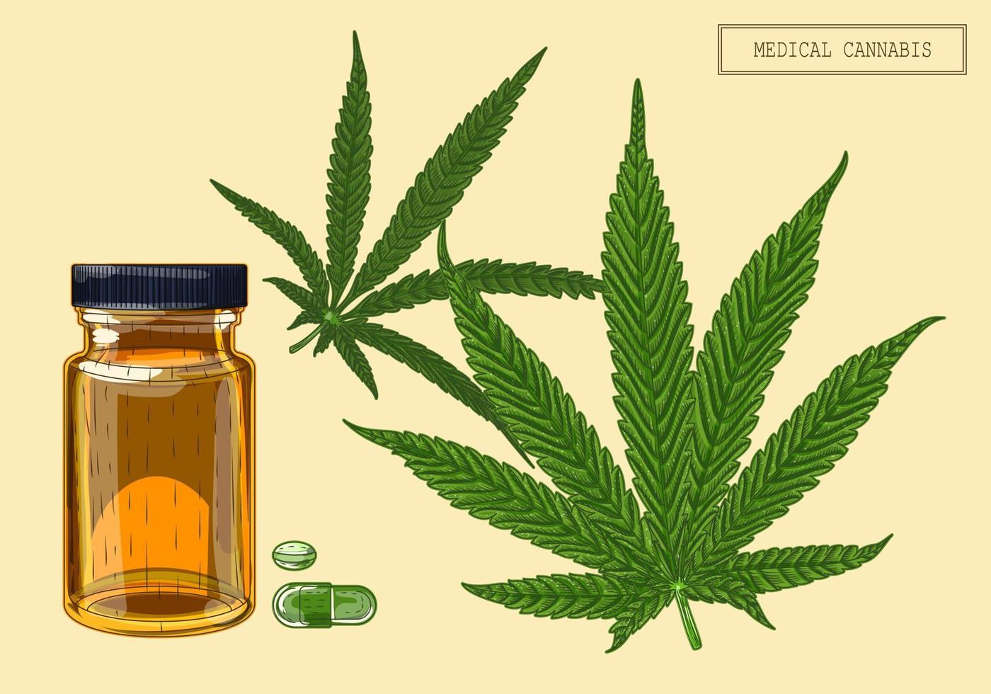 maconha medicinal duas folhas e frasco, ilustração desenhada à mão em estilo retrô vetor