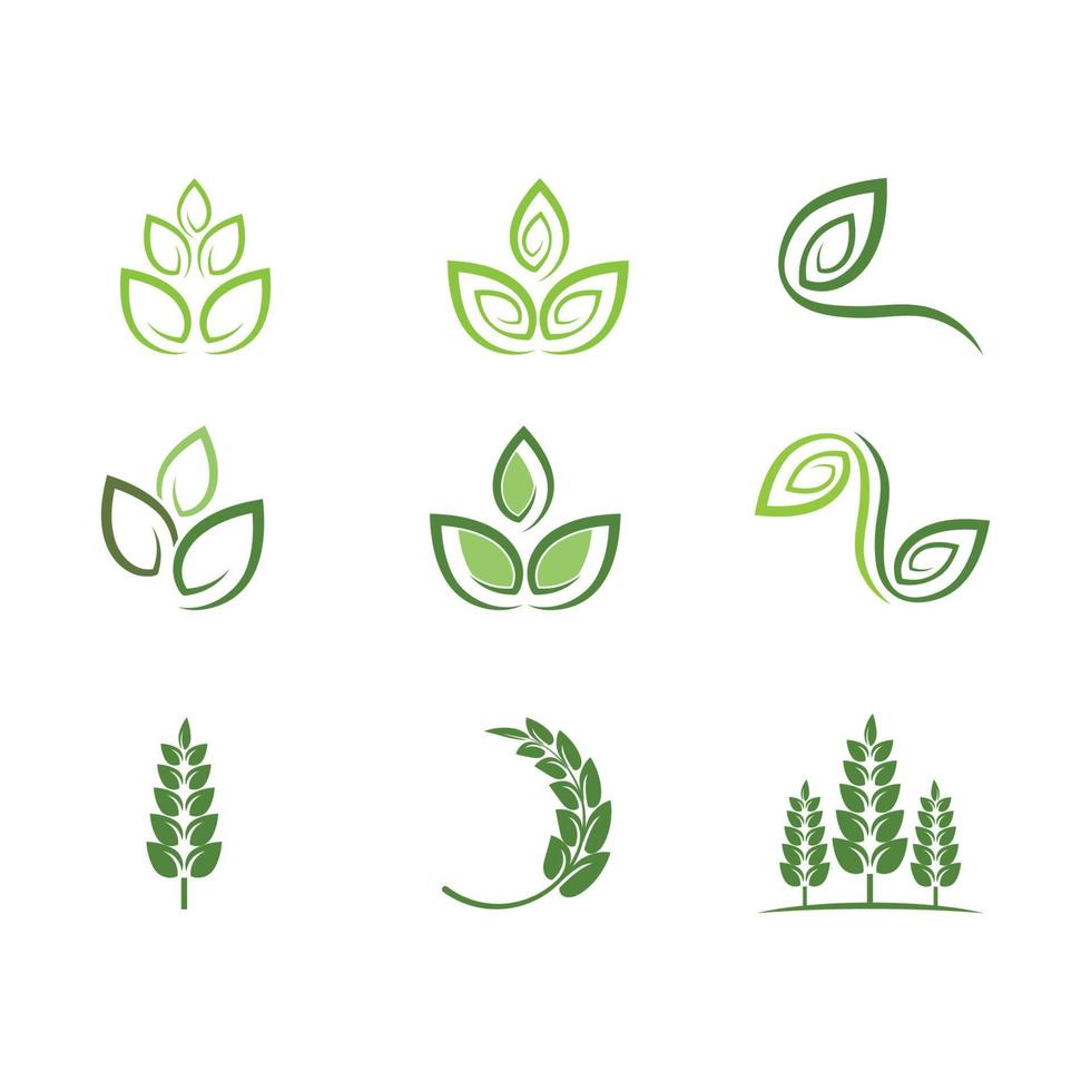 logotipos do vetor de elemento de natureza de ecologia de folha de árvore verde