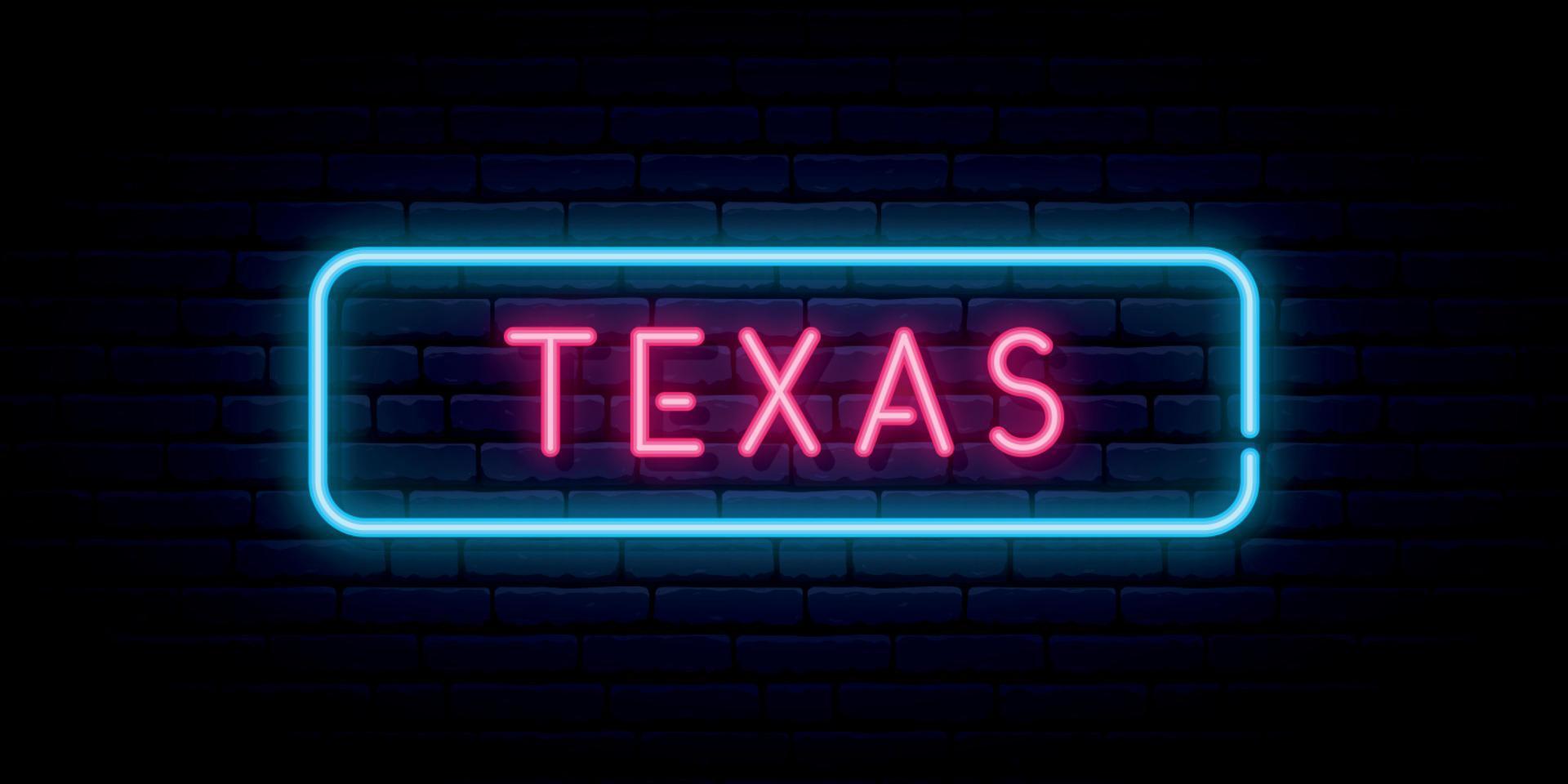 sinal de néon do texas. vetor