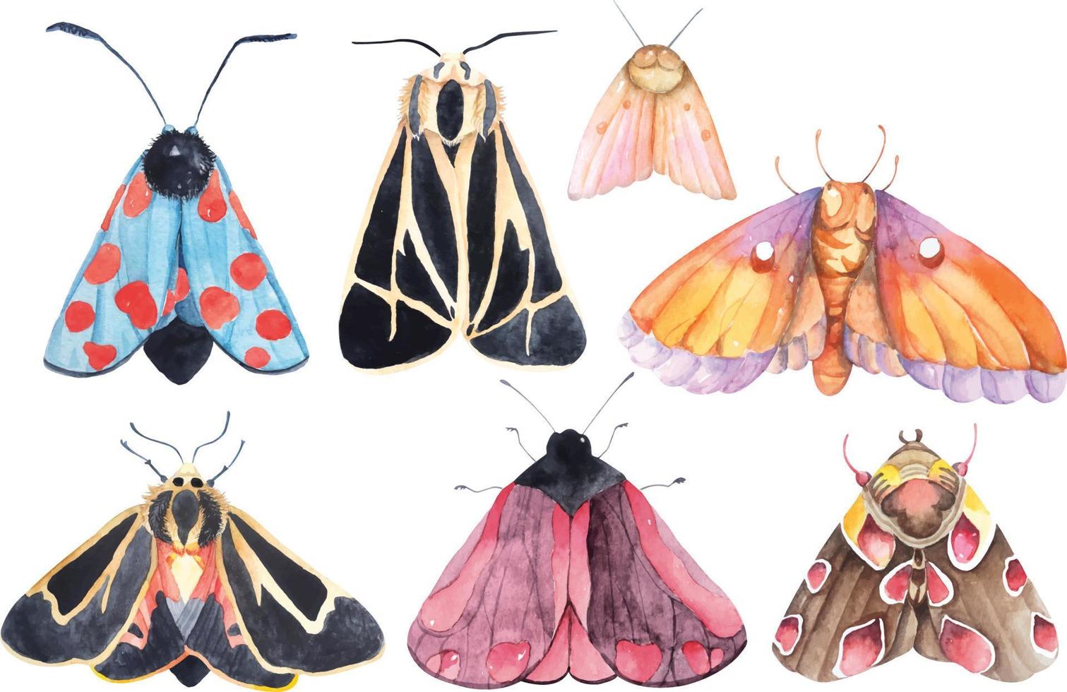 mariposas borboleta pintadas com aquarelas 13 vetor