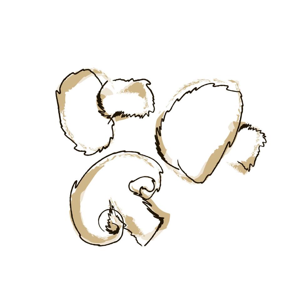 ilustração vetorial um champignon de cogumelo vetor
