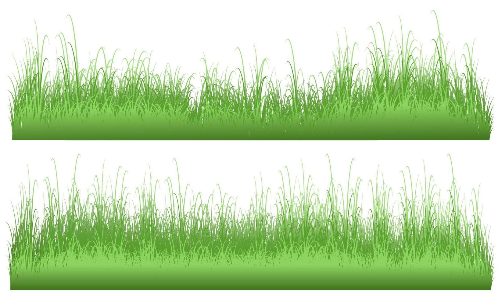 vetor de campo de grama, campo gramado