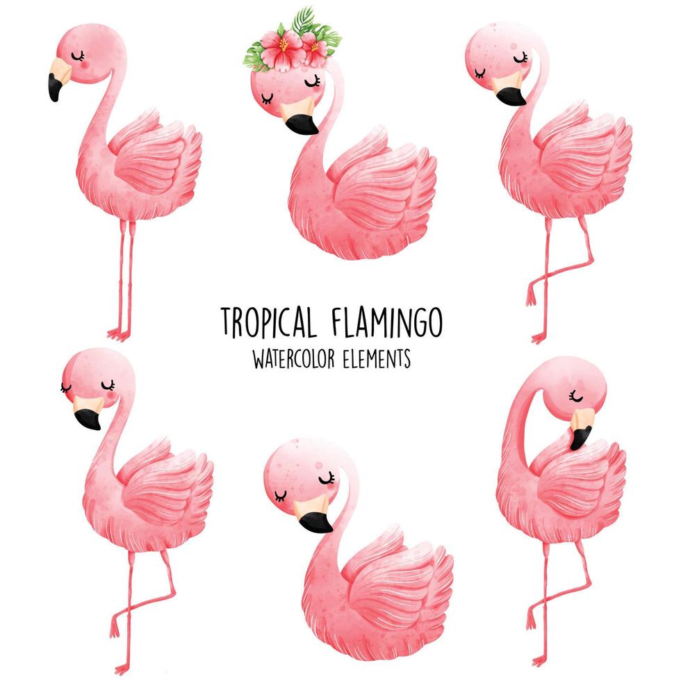 ilustração vetorial de flamingo vetor