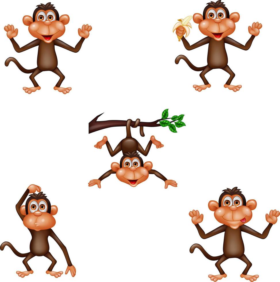 conjunto de coleção de macaco de desenho animado vetor