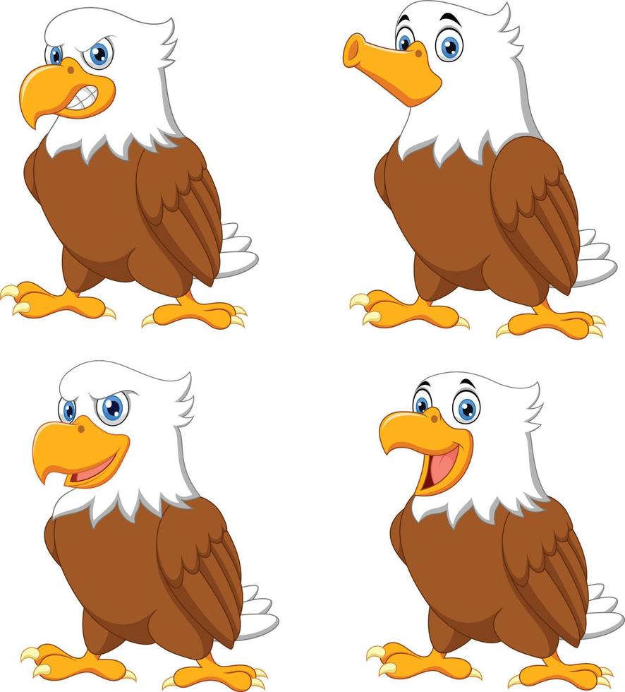 conjunto de coleção de águias dos desenhos animados vetor