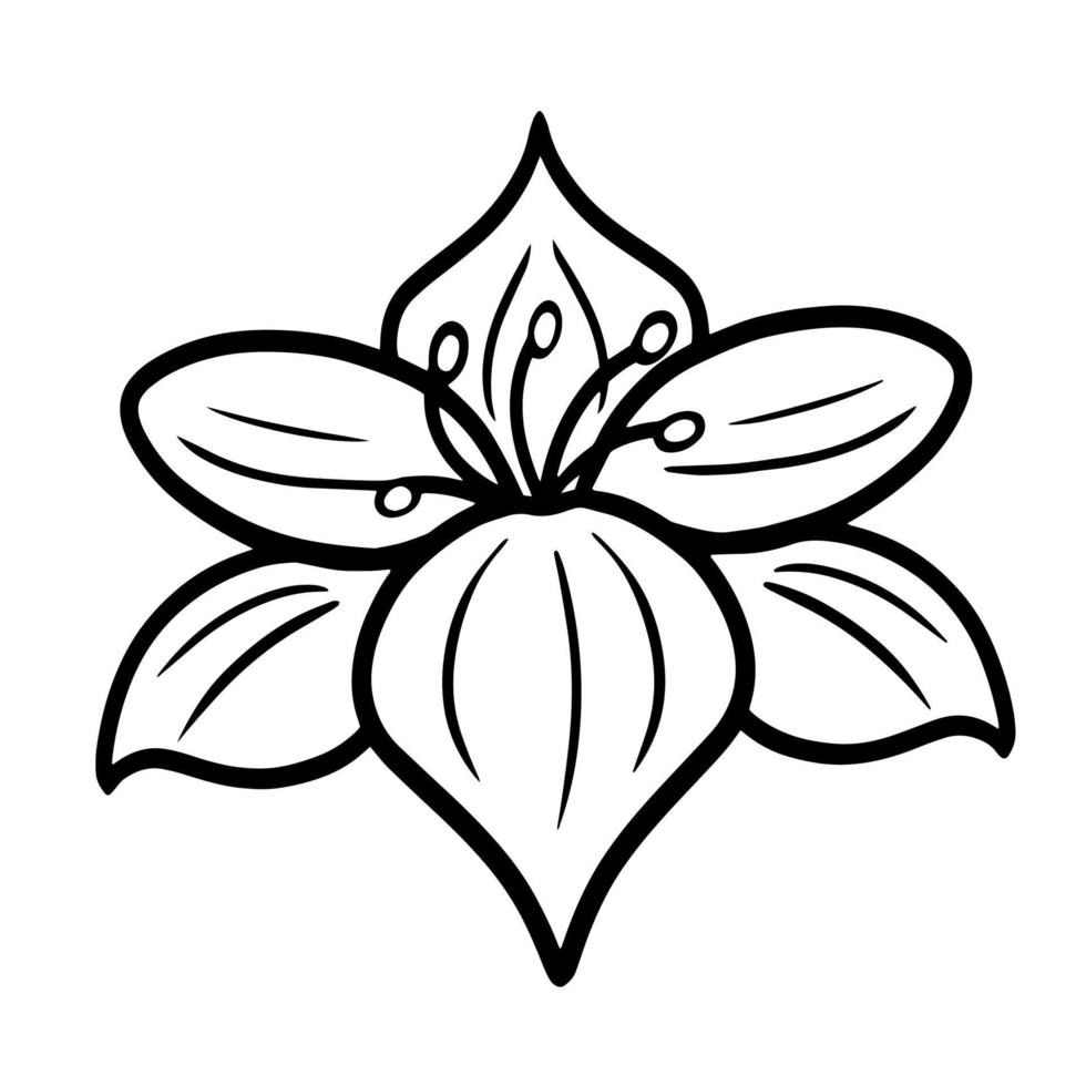 flor tropical, botão de orquídea simples, ilustração vetorial botânica monocromática em fundo branco vetor