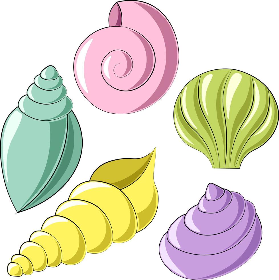 miniconjunto de conchas. desenhar ilustração em cores vetor