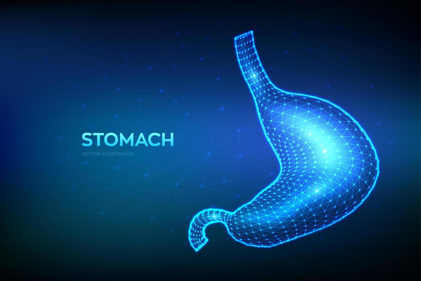 estômago. estômago humano. úlcera, gastroparesia, tratamento de gastrite, conceito de diagnóstico. órgão de estrutura de arame poligonal baixo abstrato para medicamentos, farmácia e design de educação. ilustração vetorial. vetor