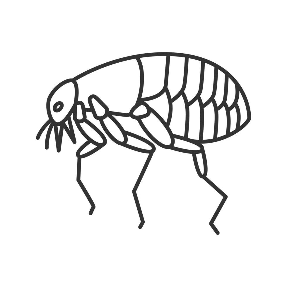 ícone linear de pulga. parasita de animais de estimação. ilustração de linha fina. praga de insetos. símbolo de contorno. desenho de contorno isolado de vetor