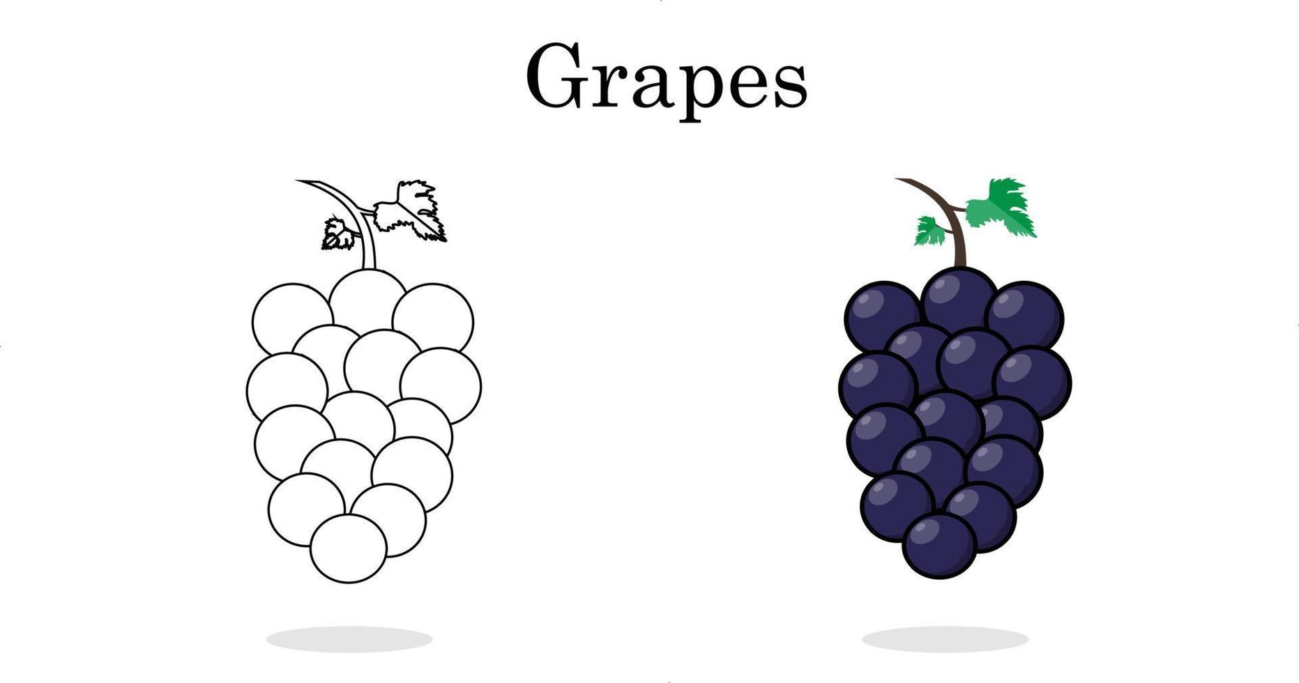 uvas linha arte cor menos frutas para arte vetorial de crianças pré-escolares. vetor