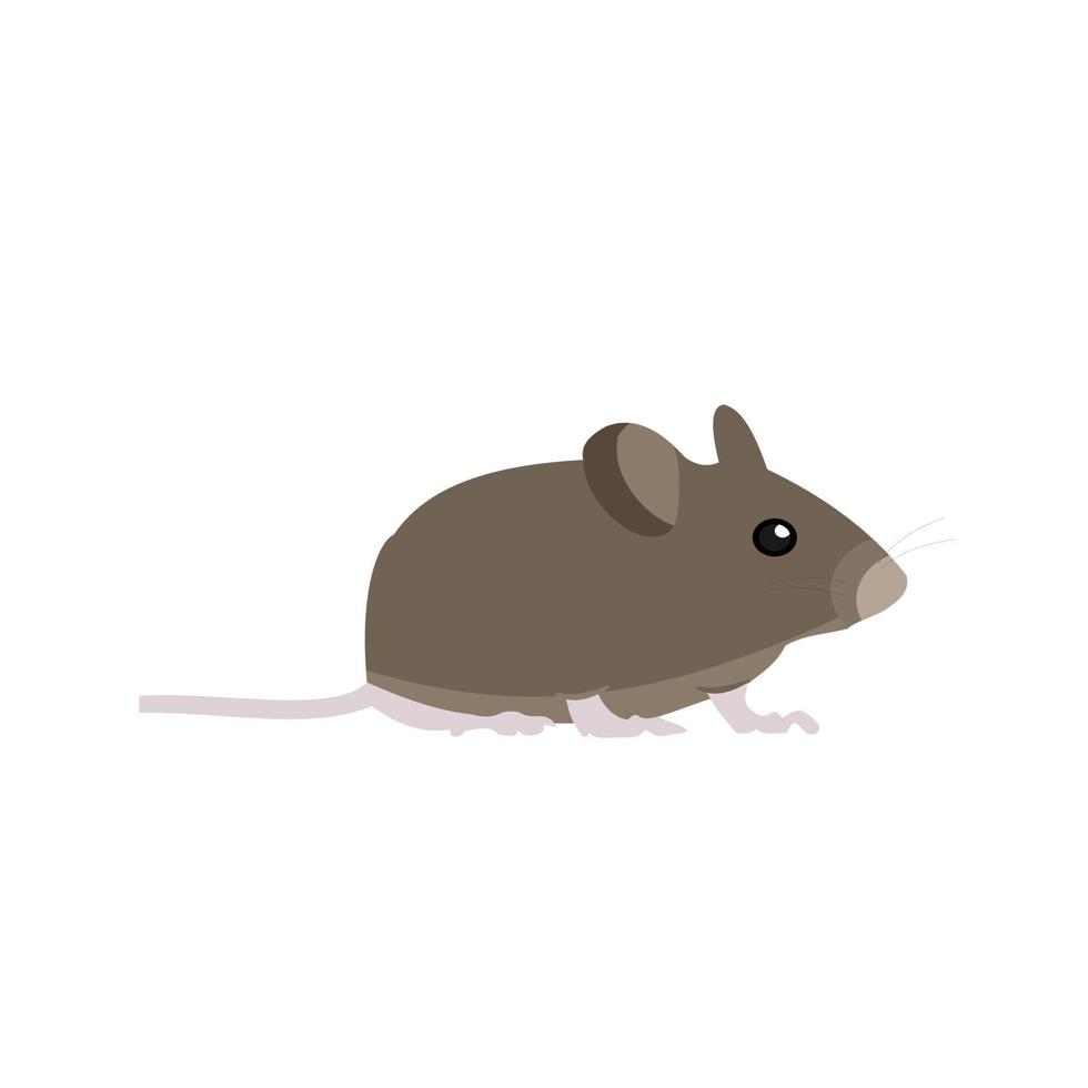 ícone de linha de rato de estimação vetor