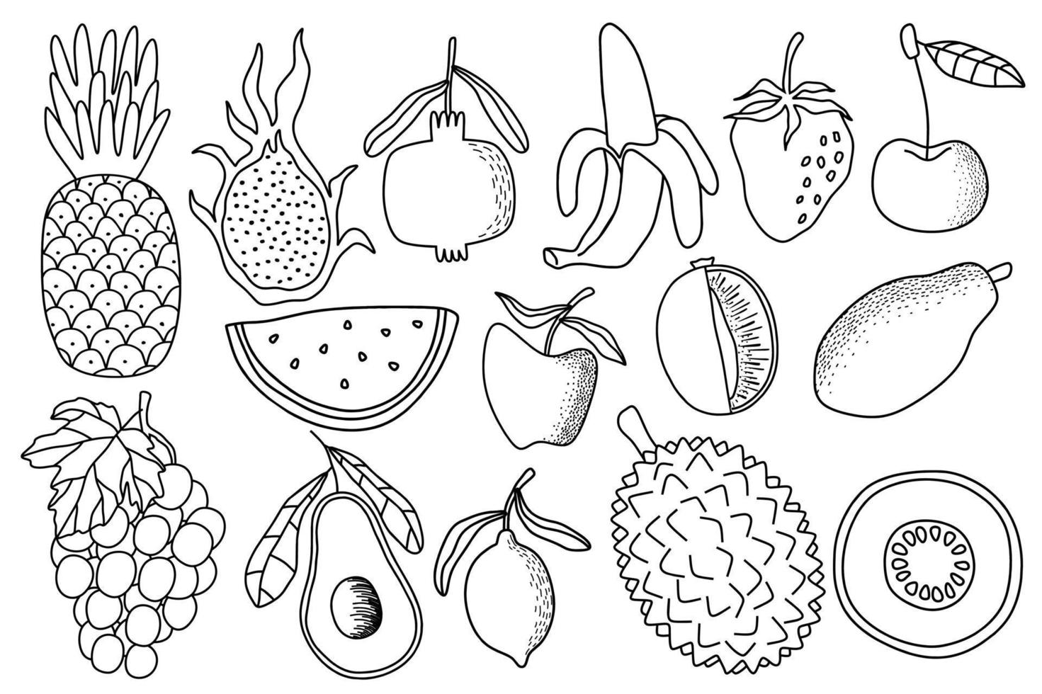 conjunto de vetores de doodle de frutas frescas. ilustração vetorial