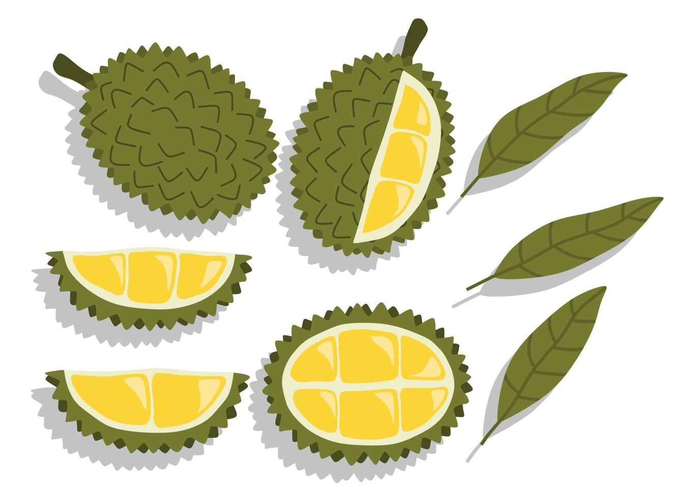 conjunto de vetores de ilustração vetorial durian desenhado à mão