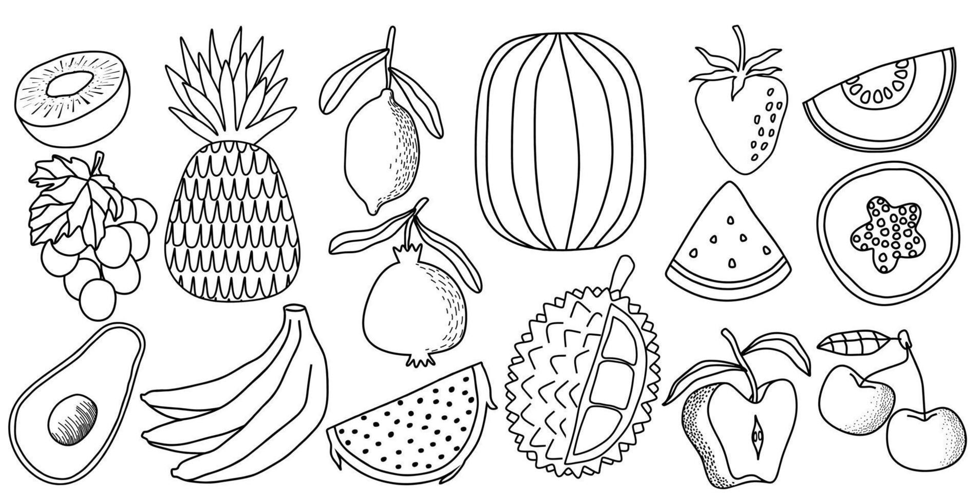 conjunto de vetores de doodle de frutas frescas. ilustração vetorial