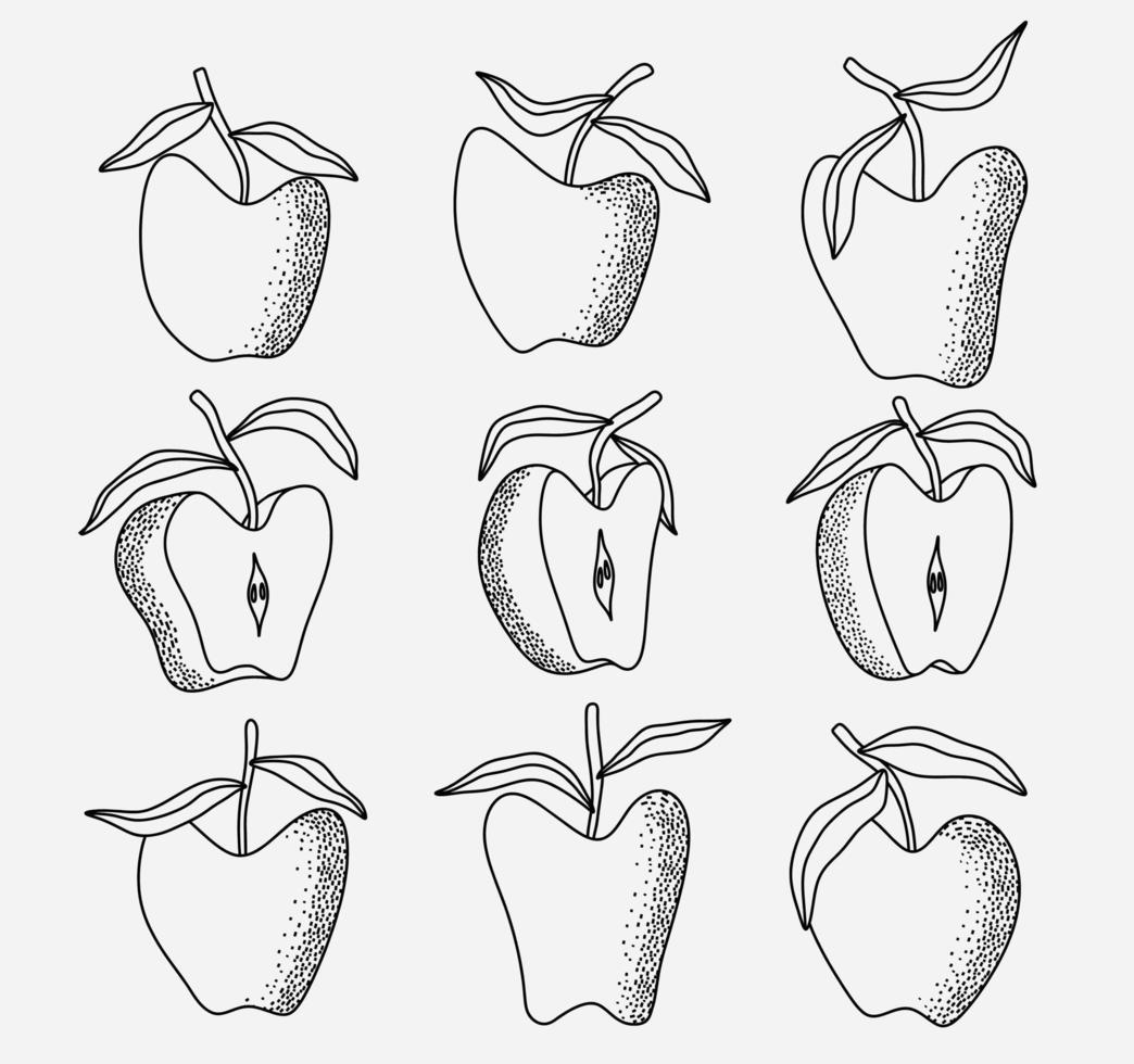 conjunto de vetores de ilustração vetorial de maçãs frescas desenhadas à mão