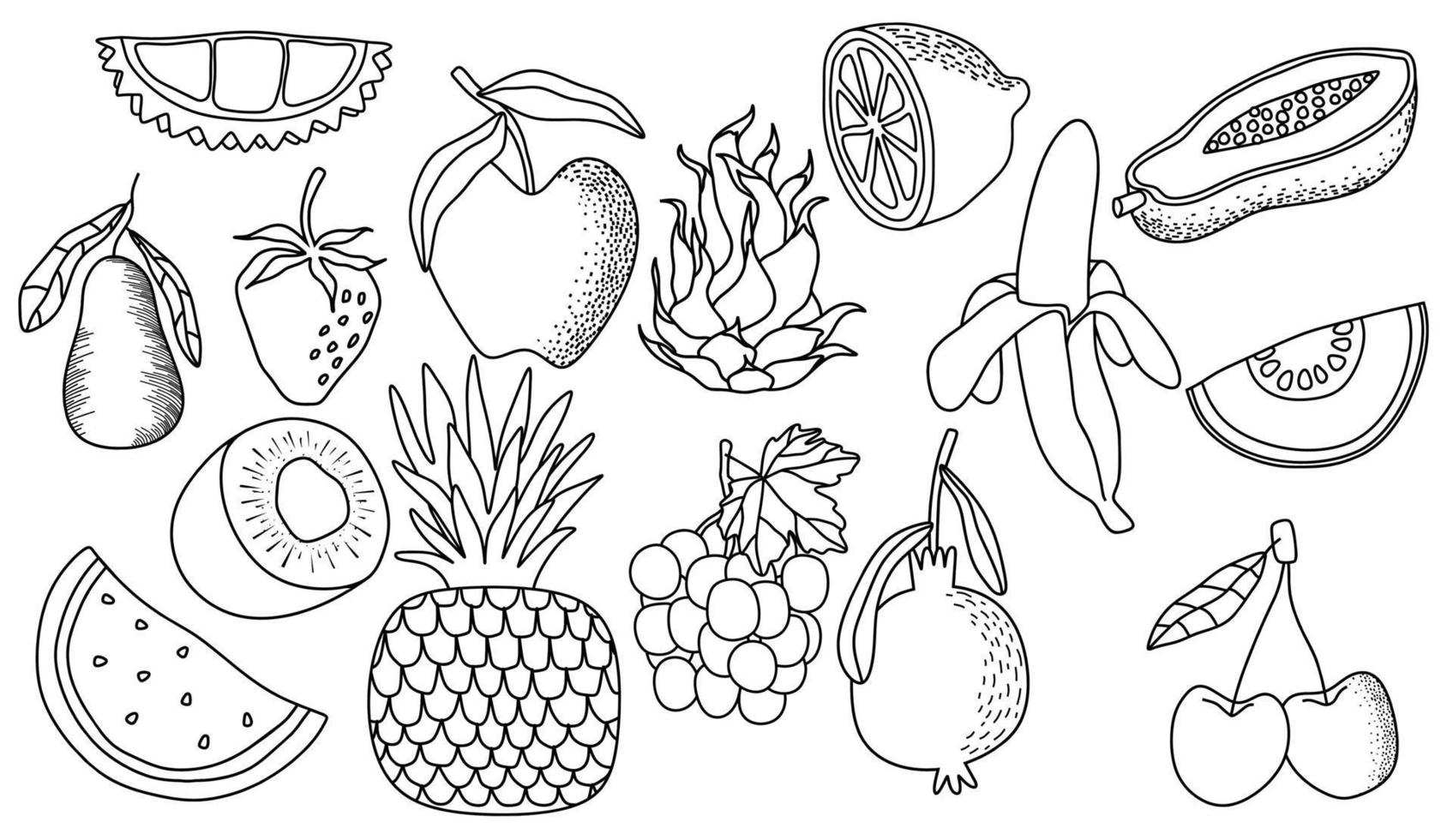 conjunto de vetores de doodle de frutas frescas. ilustração vetorial