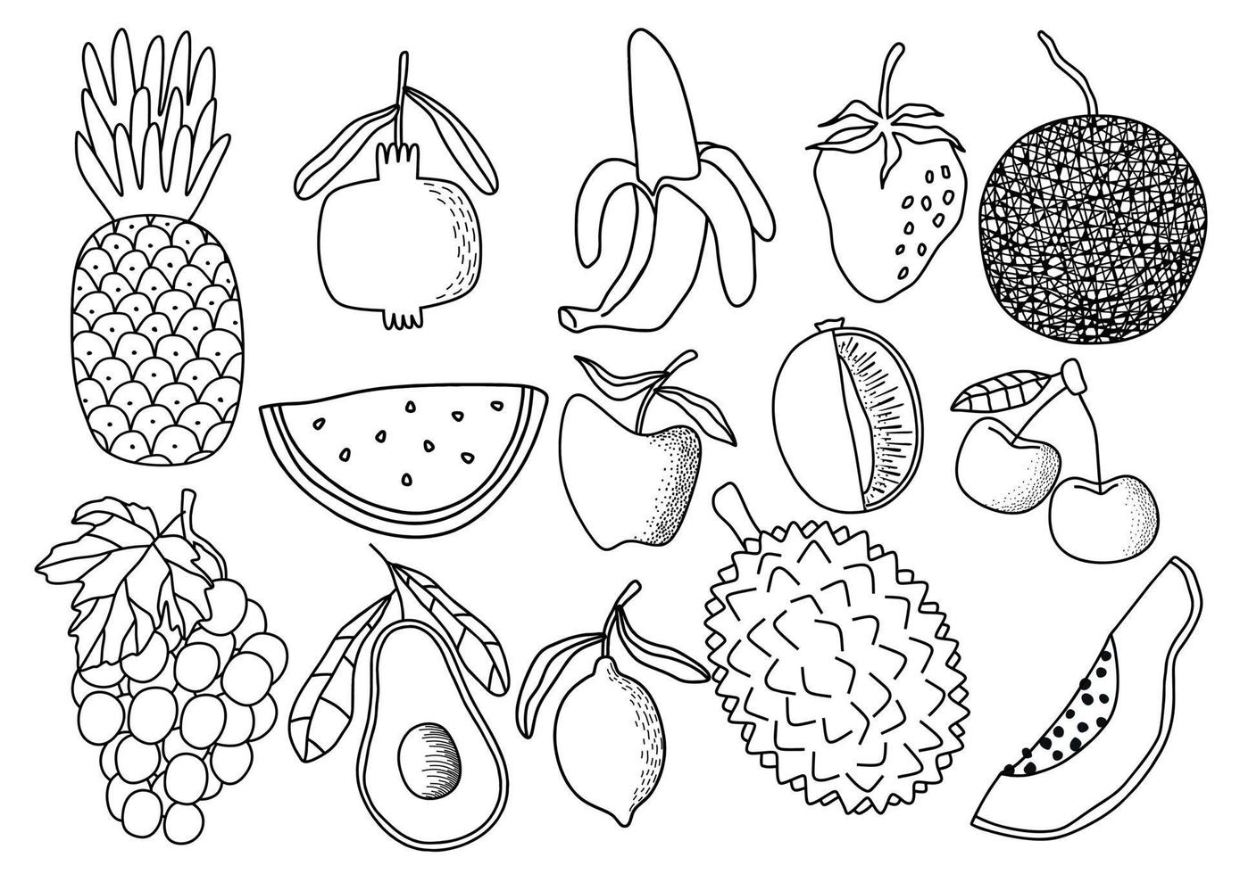 conjunto de vetores de doodle de frutas frescas. ilustração vetorial