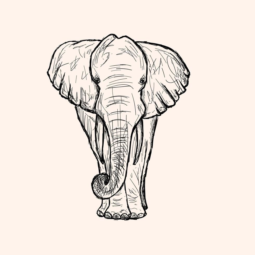 esboço de elefante desenhado à mão vetor