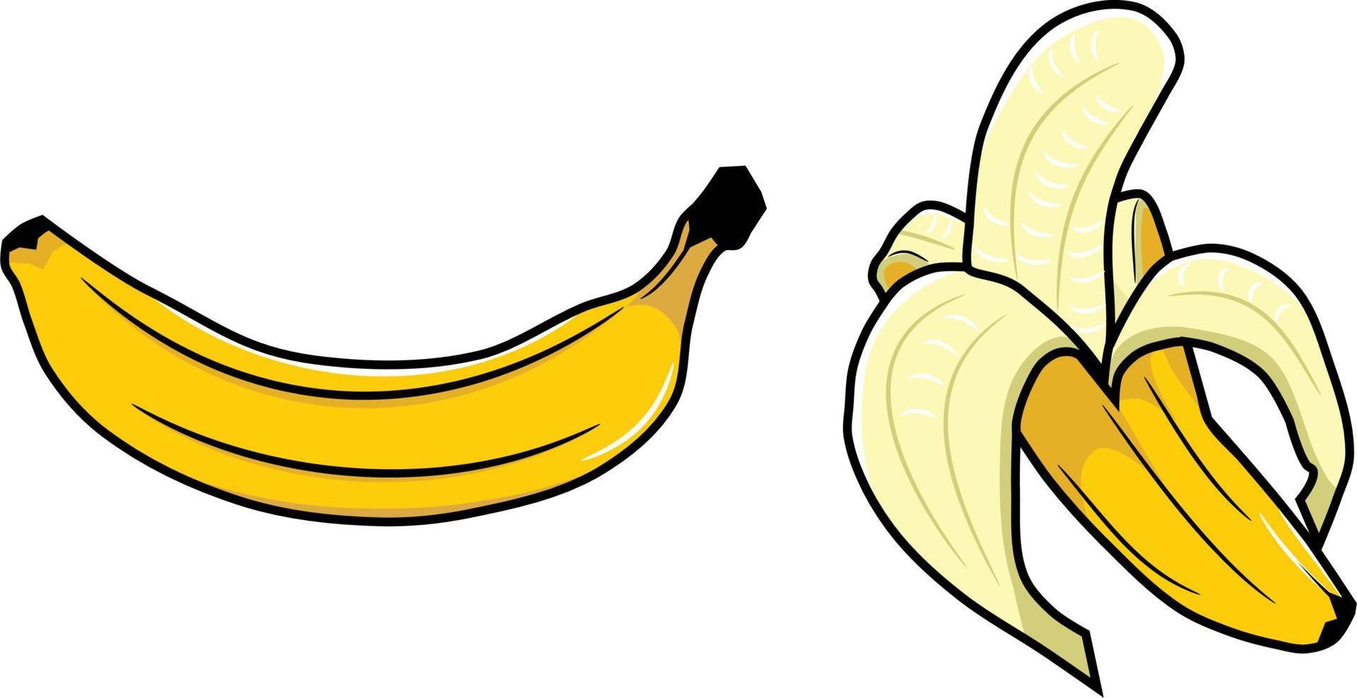bananas frutas amarelas vetor