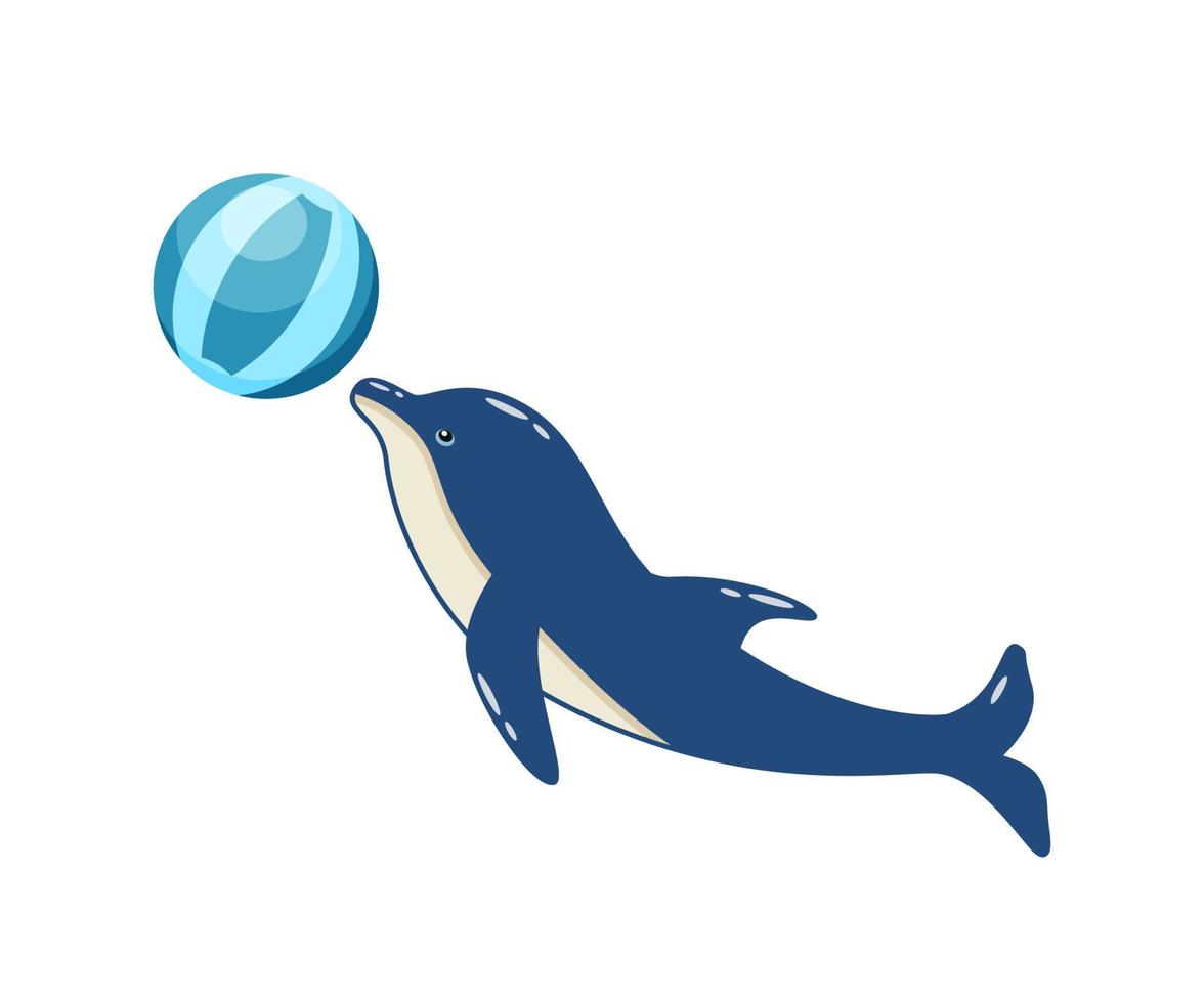 golfinho bonito dos desenhos animados com uma bola no dolphinarium. ilustração vetorial de um animal marinho treinado em um zoológico vetor