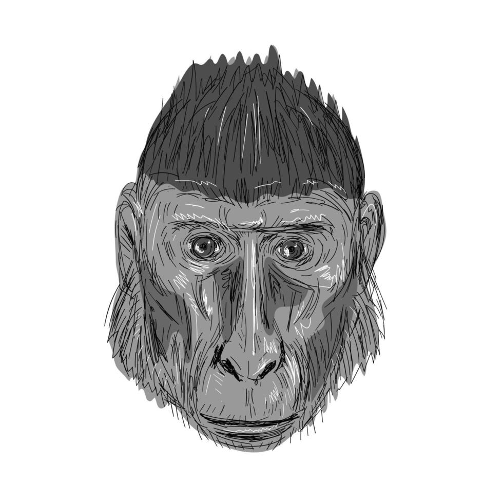 desenho de cabeça de macaco preto com crista vetor