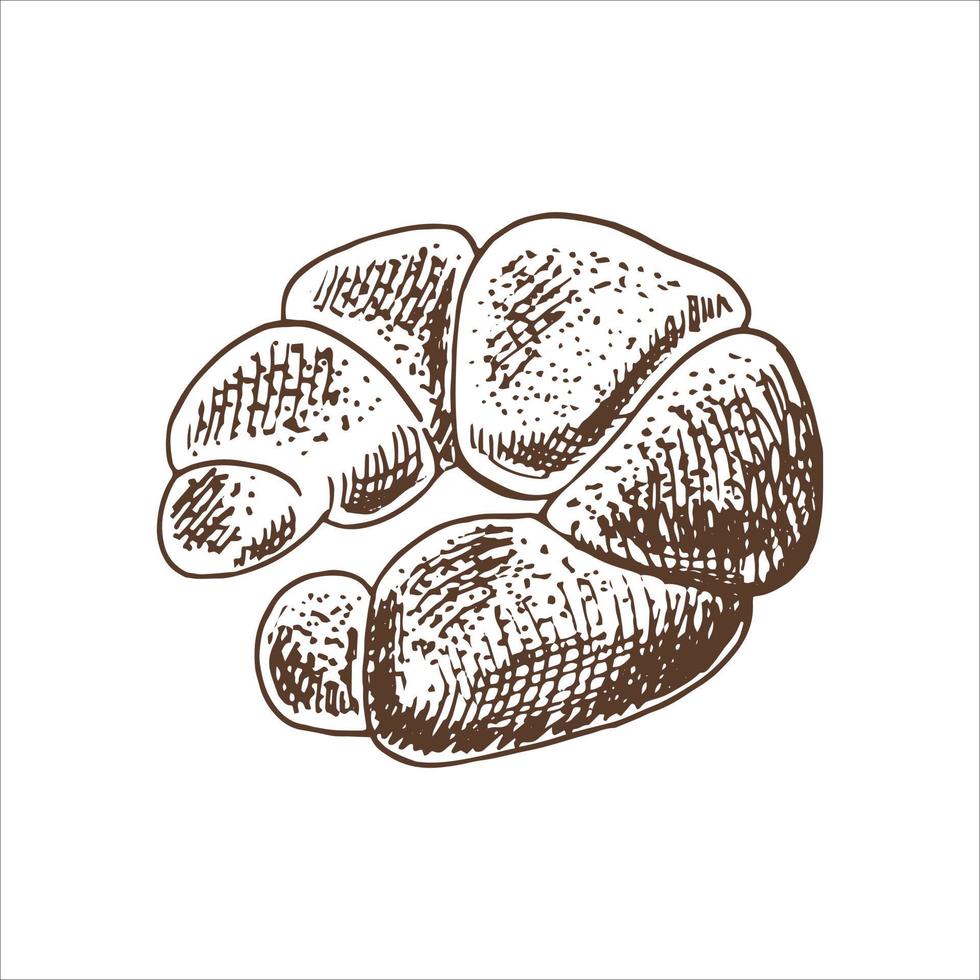 ilustração vetorial desenhada à mão de bagel, pão. desenho de pão marrom e branco isolado no fundo branco. ícone de esboço e elemento de padaria para impressão, web, mobile e infográficos. vetor