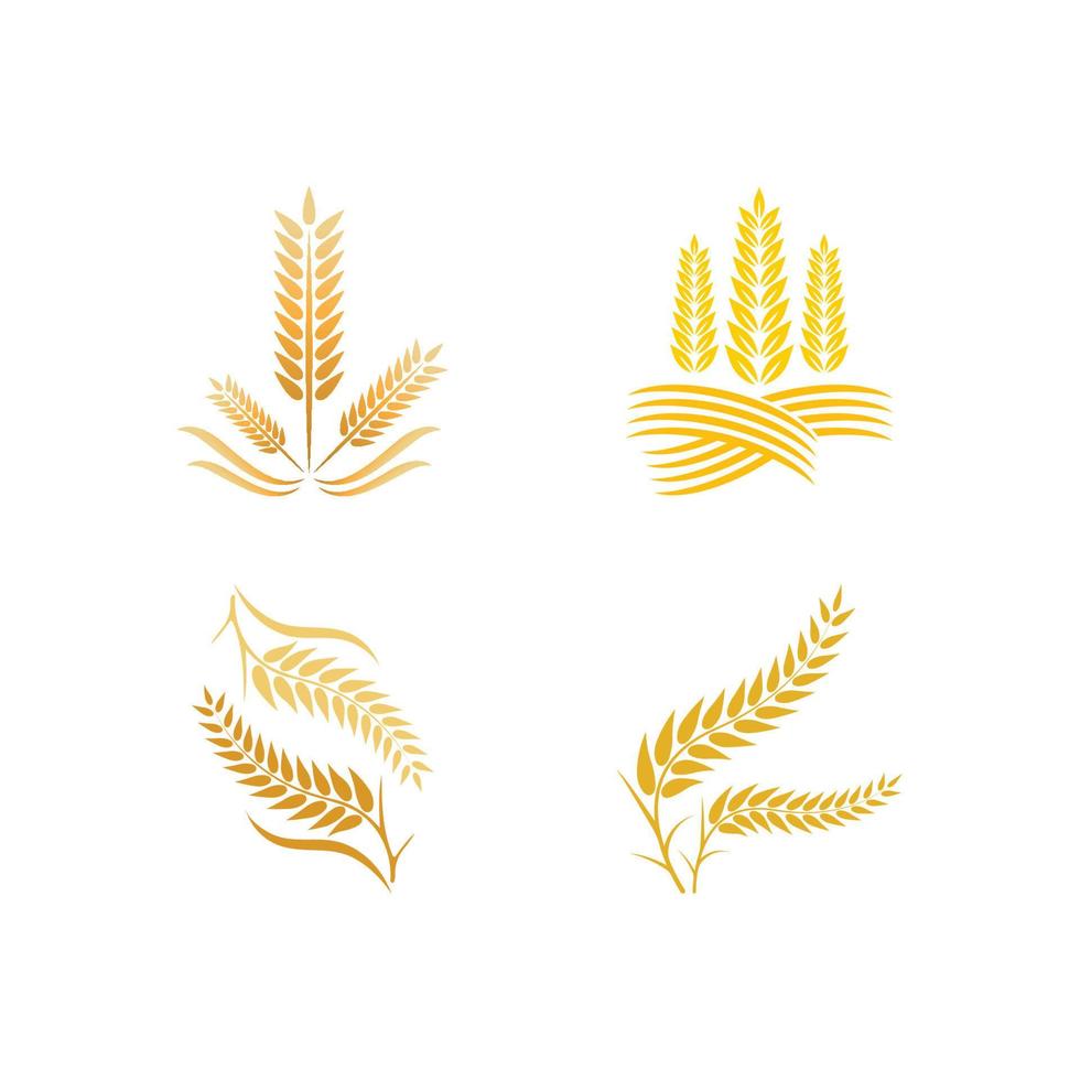ilustração de ícone de vetor de logotipo de trigo