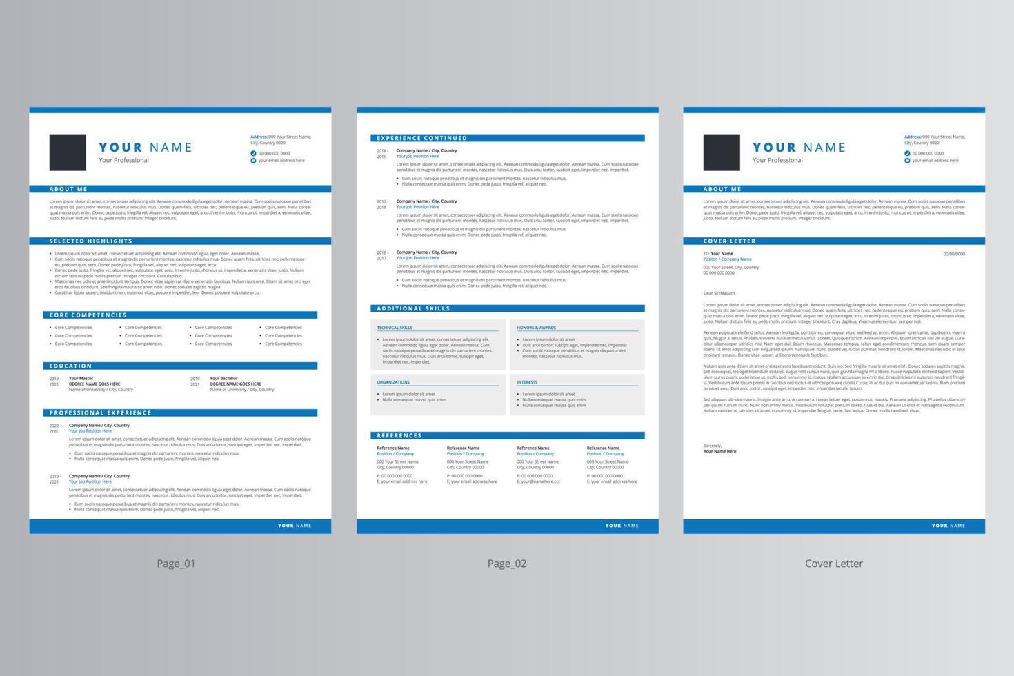 currículo profissional e modelo de carta de apresentação. vetor profissional