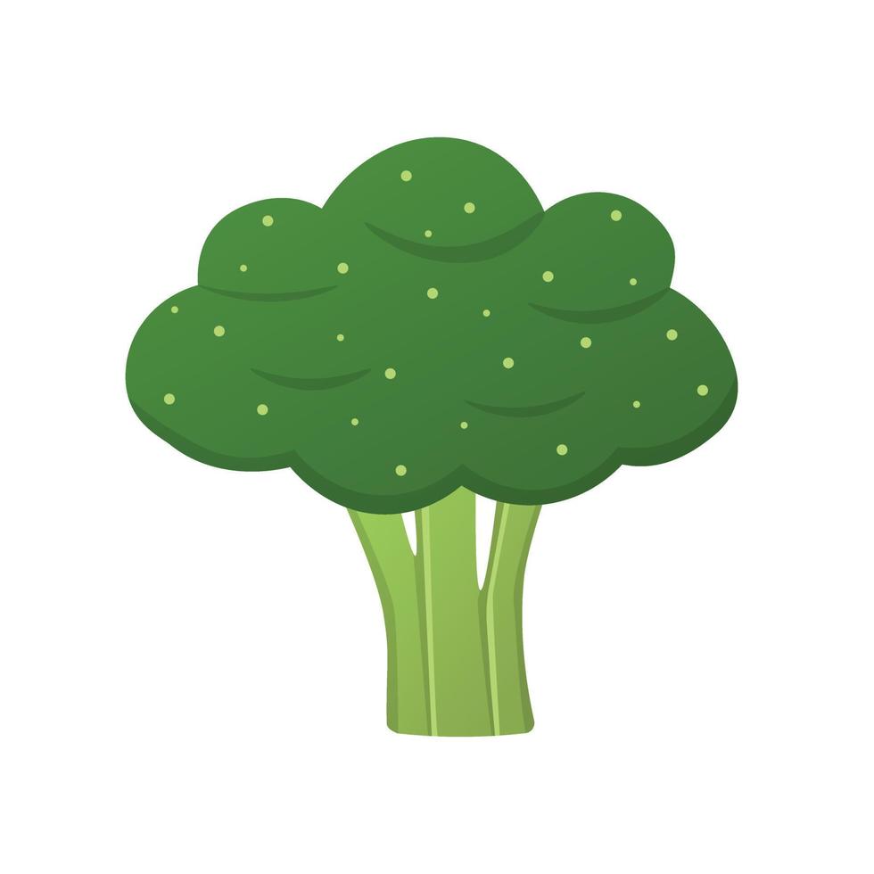 brócolis vegetais frescos fazenda comida saudável. vetor de ícone plano de brócolis, ilustração de logotipo colorido isolado no branco