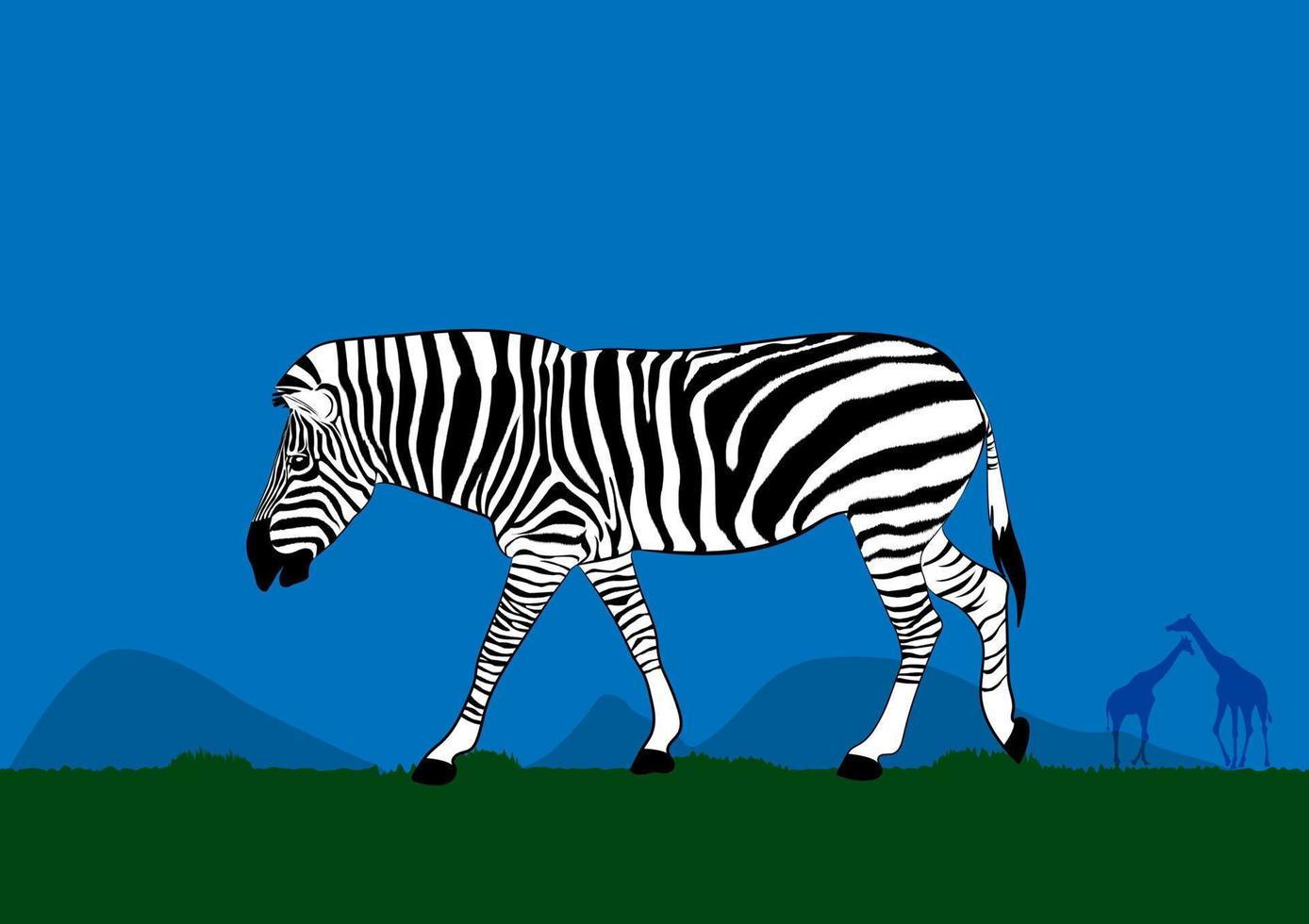 zebra andando na grama na ilustração vetorial de design gráfico da floresta vetor