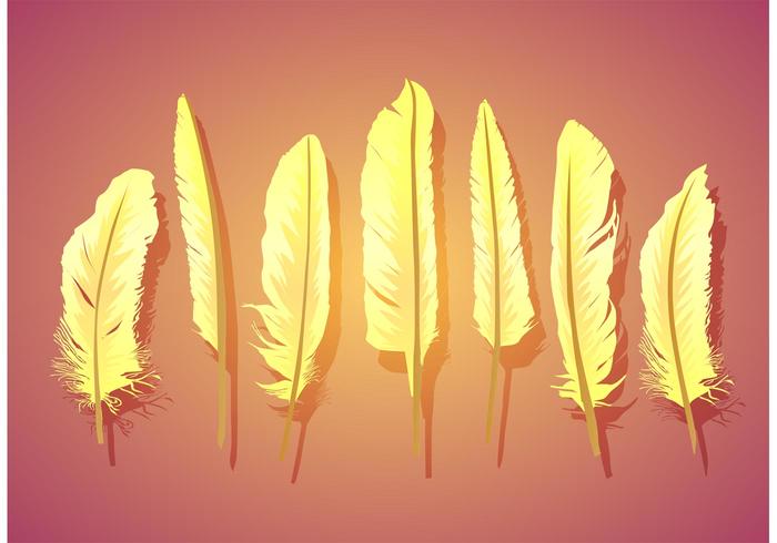 Vector Feather Isolated