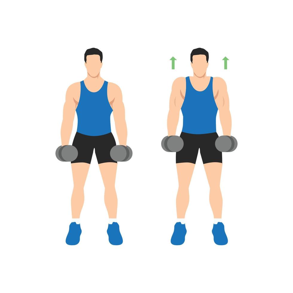 homem fazendo exercício de vista frontal com halteres encolhe os ombros. ilustração vetorial plana isolada no fundo branco vetor