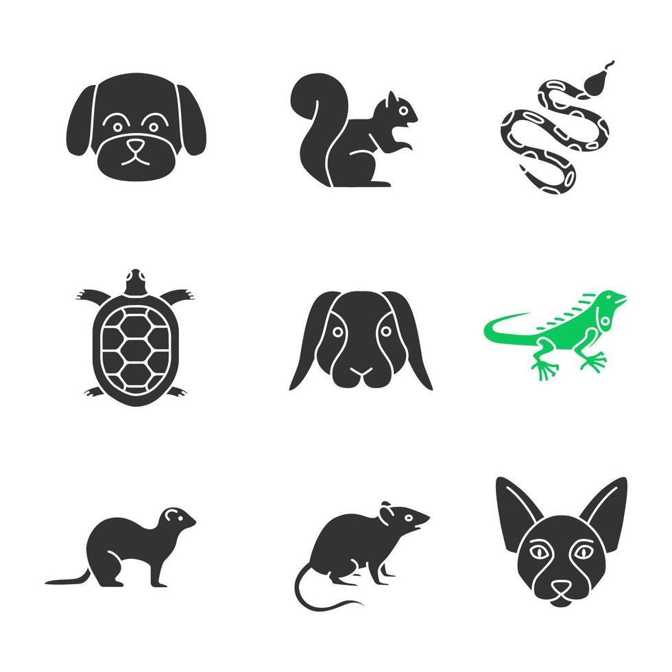 conjunto de ícones de glifo de animais de estimação. cão maltês, esquilo, píton, tartaruga, coelho, iguana, furão, rato, esfinge canadense. símbolos de silhueta. ilustração vetorial isolada vetor