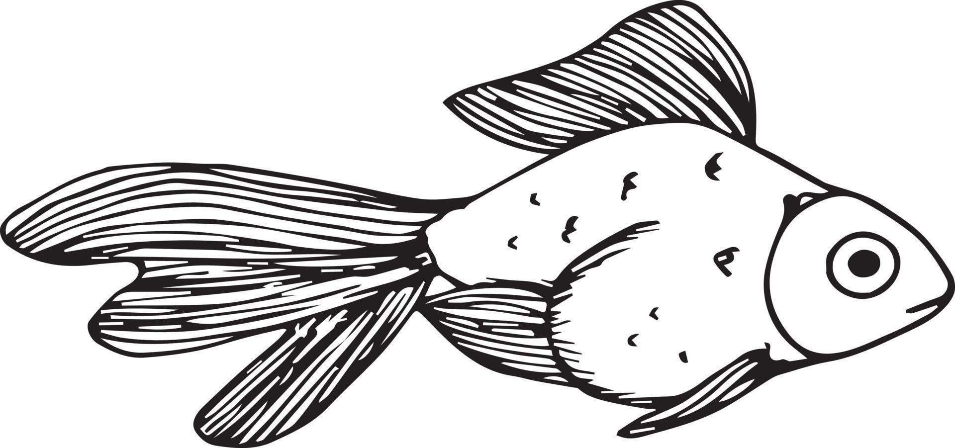 doodle peixe no fundo branco vetor