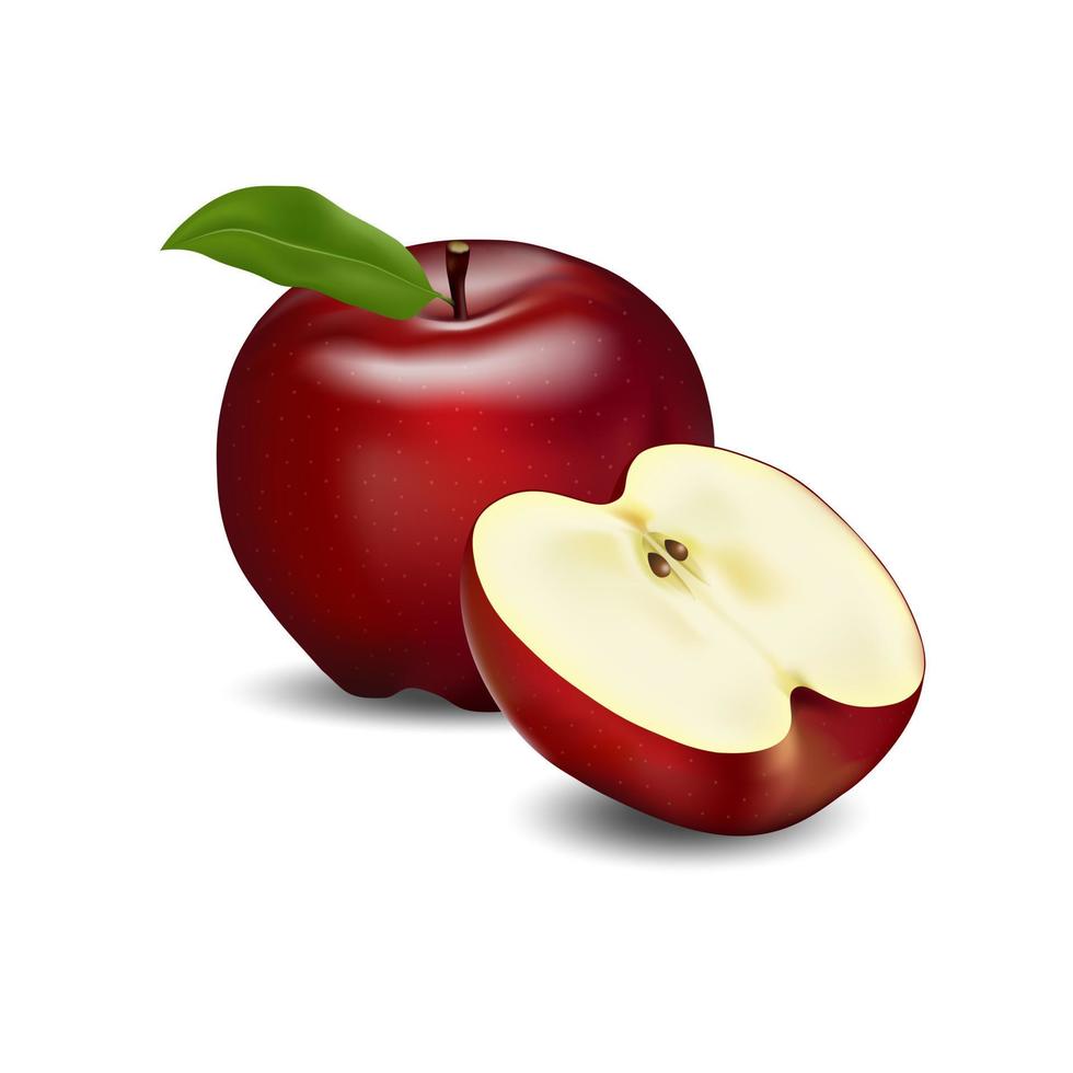 uma maçã vermelha brilhante é apetitosa e cortada ao meio para mostrar seu frescor. vetor